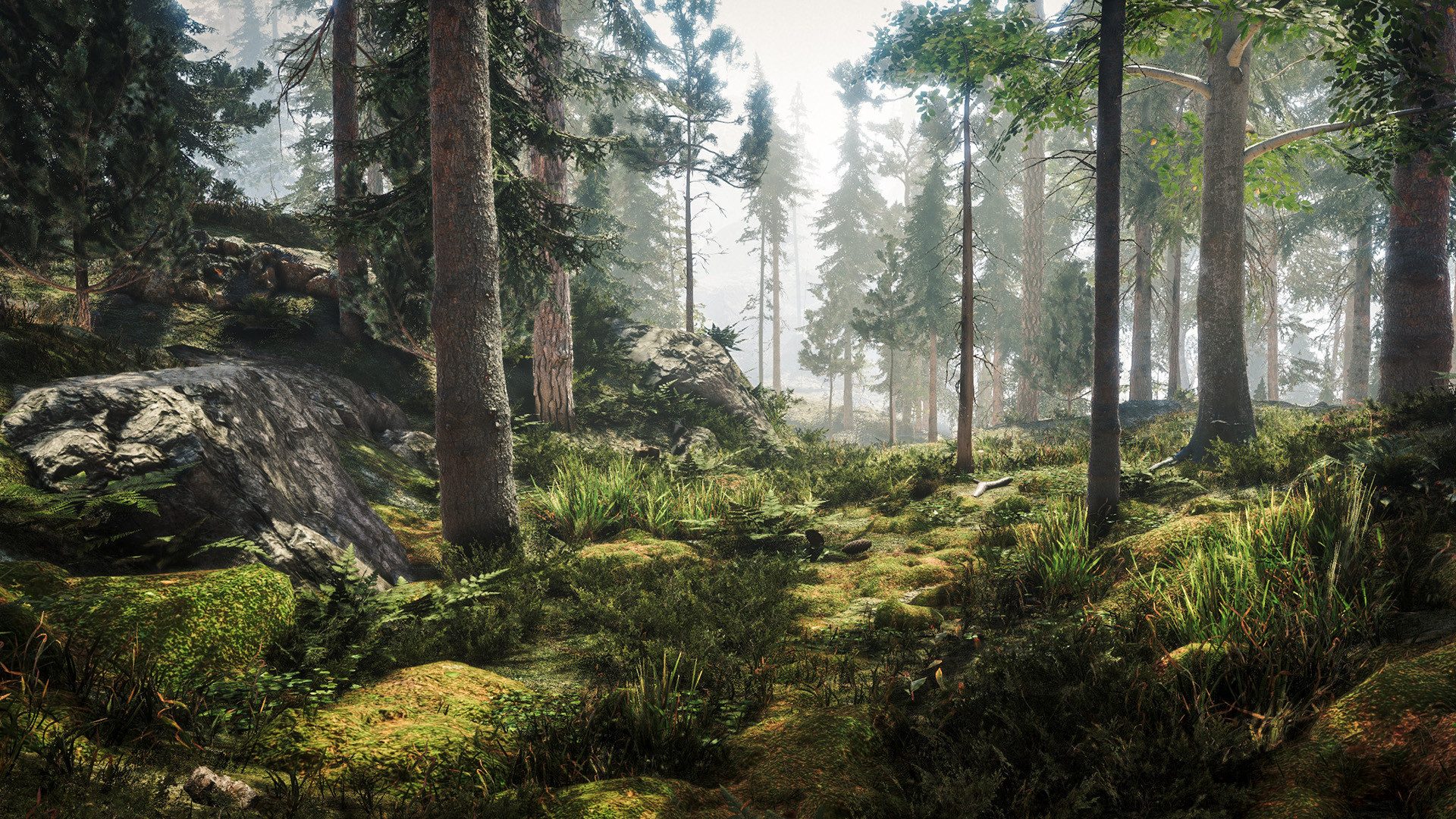 第一人稱生存動作遊戲《樹精之間》公佈 登陸PC