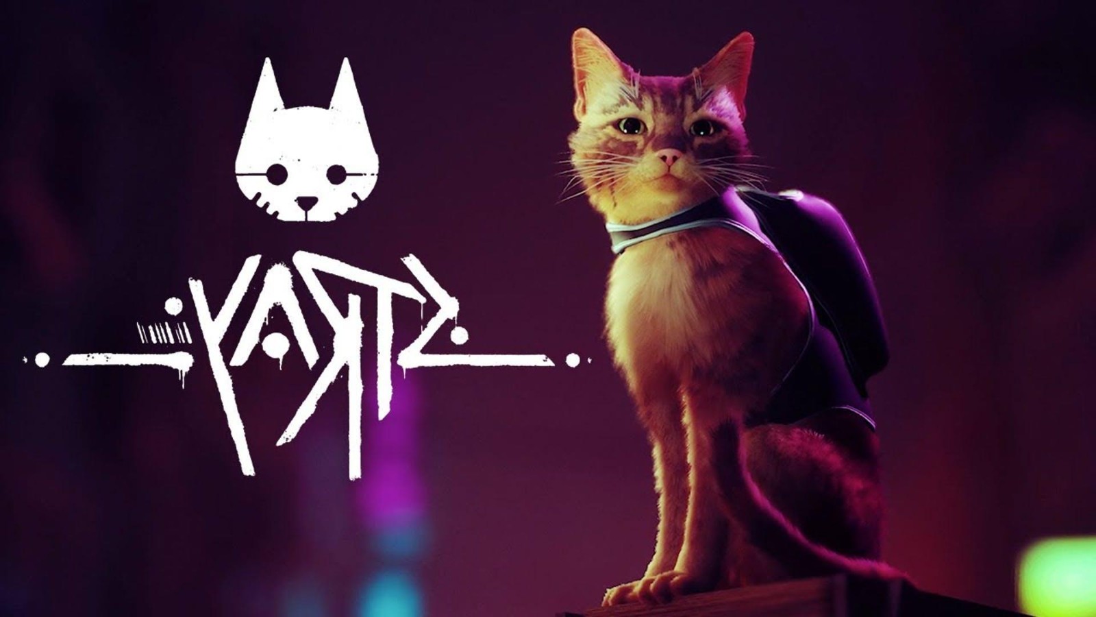 貓咪冒險遊戲《迷失》發售日曝光預計7月19日上線