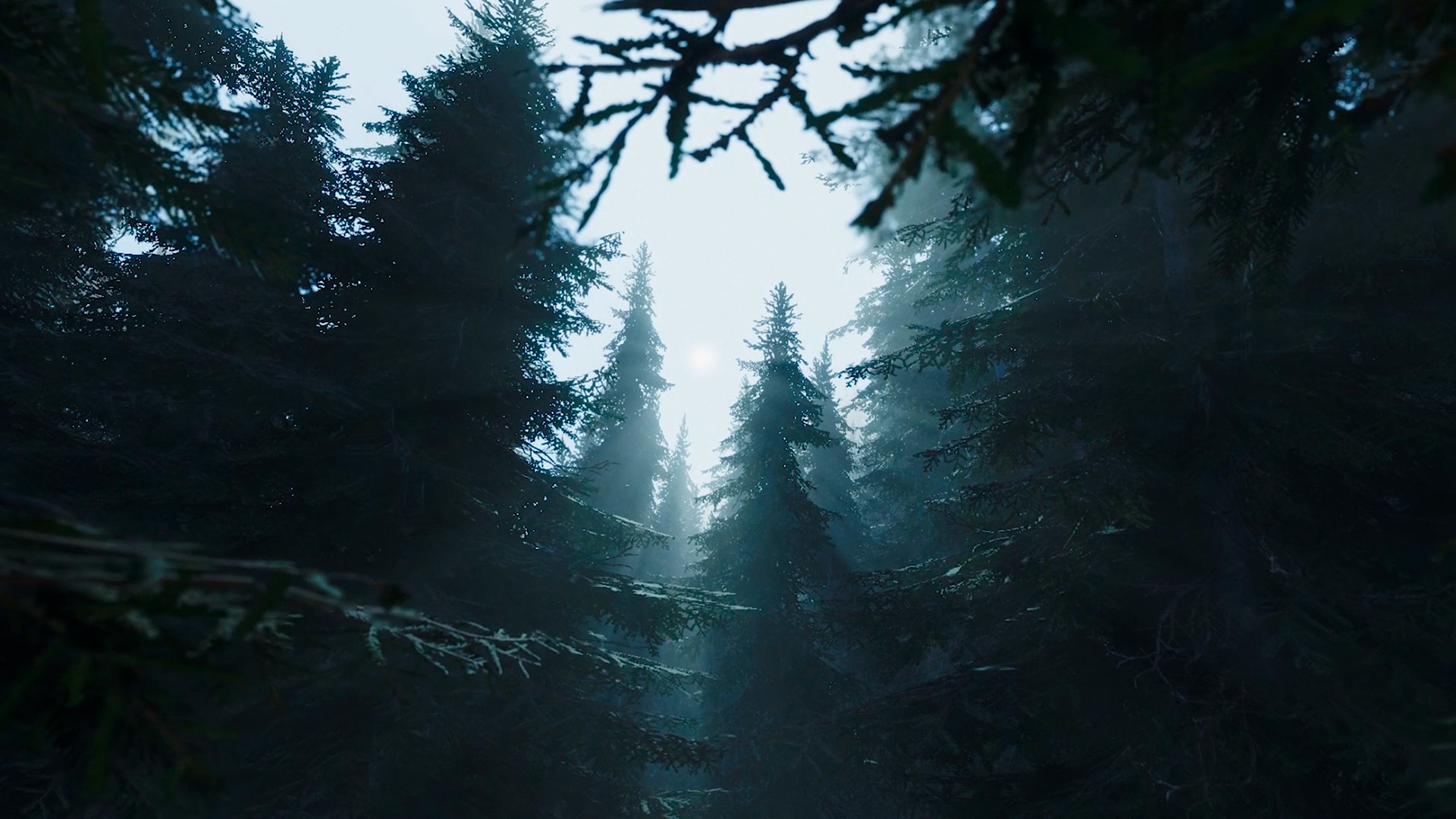 第一人稱生存冒險遊戲《黑森林迷蹤》宣傳片公佈