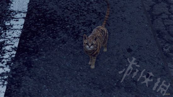 《審判之眼死神的遺言》地圖中有哪些貓？遊戲地圖中貓一覽