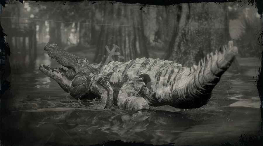 《碧血狂殺2》傳奇鱷魚什麼時候捉 傳奇鱷魚觸發方式一覽