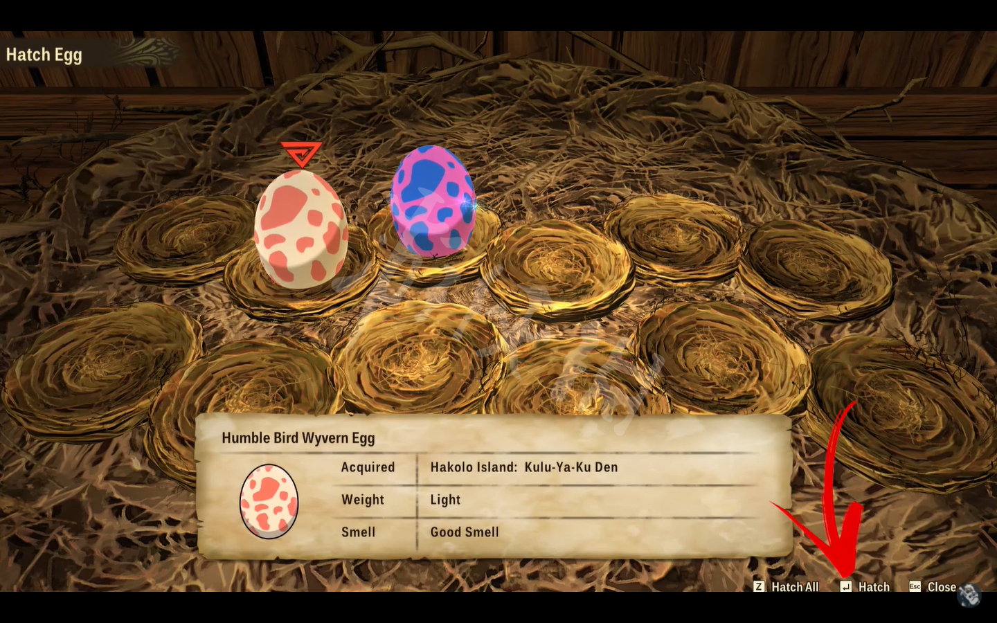 《魔物獵人物語2》怎麼孵蛋？遊戲孵蛋方法介紹