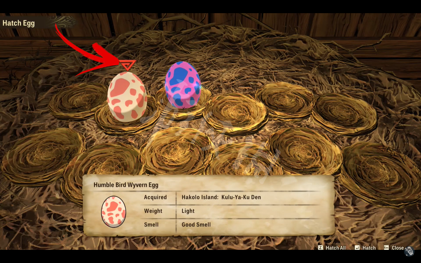 《魔物獵人物語2》怎麼孵蛋？遊戲孵蛋方法介紹