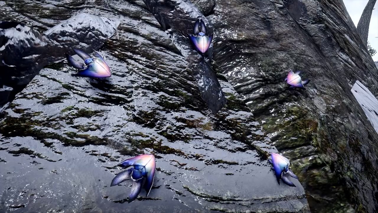 《魔物獵人崛起破曉》新映像見聞錄 變色蟲與吸附蟾蜍