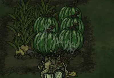 《飢荒聯機版》巨大作物如何種植？巨大作物種植方法介紹