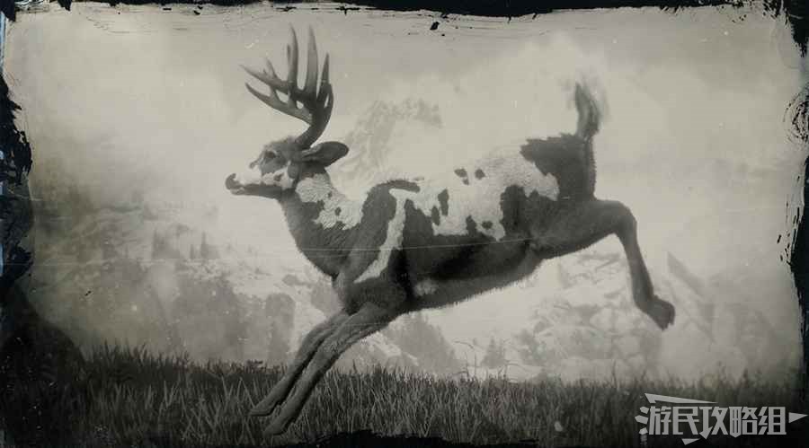 《碧血狂殺2》全動物圖鑒 動物位置及狩獵方法詳解