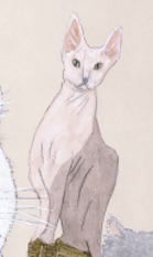 《羅浮宮的貓》以貓為媒，把兩種藝術連接在一起