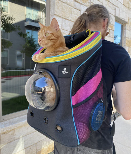 貓貓遊戲《迷失》推出聯名款貓包和牽引繩 售價1200元