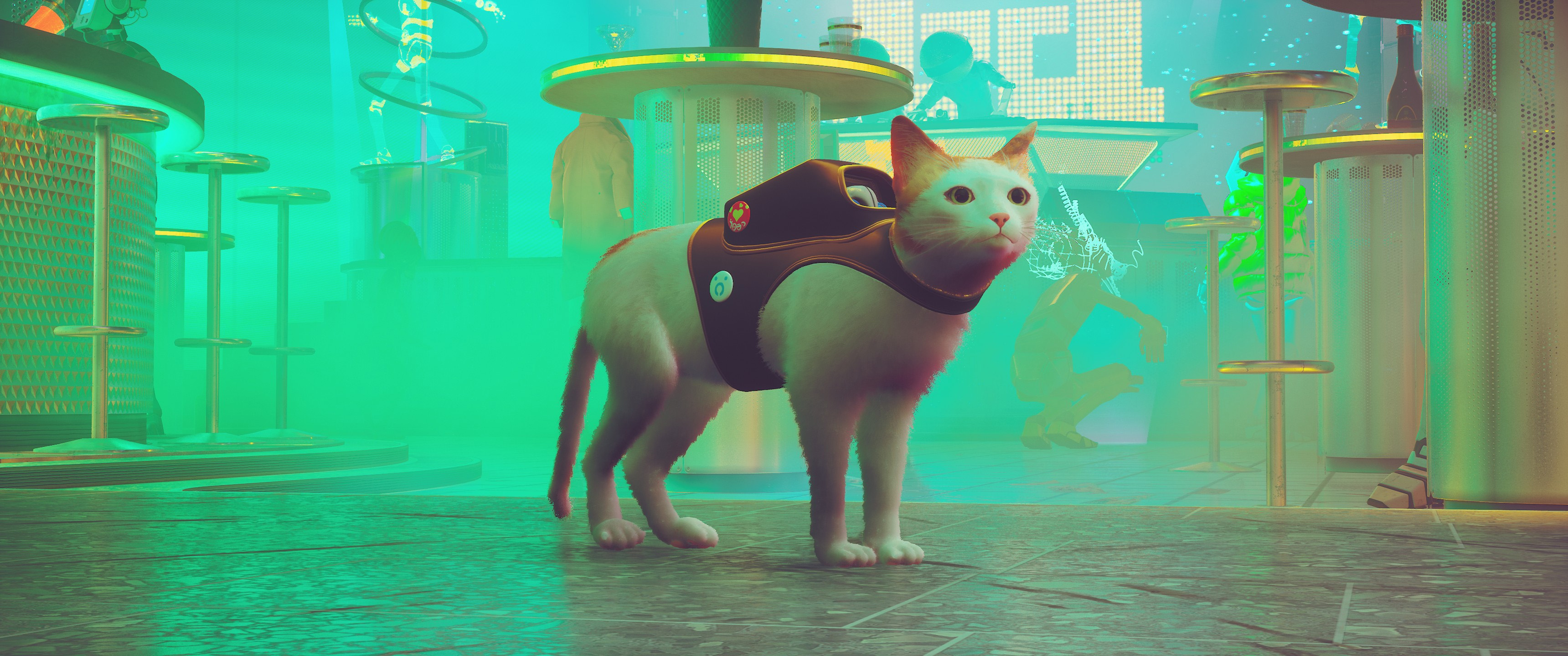 第三貓稱冒險遊戲《Stray》Mod分享各種可愛貓貓