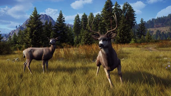 Steam開放世界狩獵《獵人之路》正式發售褒貶不一