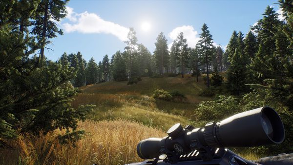 Steam開放世界狩獵《獵人之路》正式發售褒貶不一