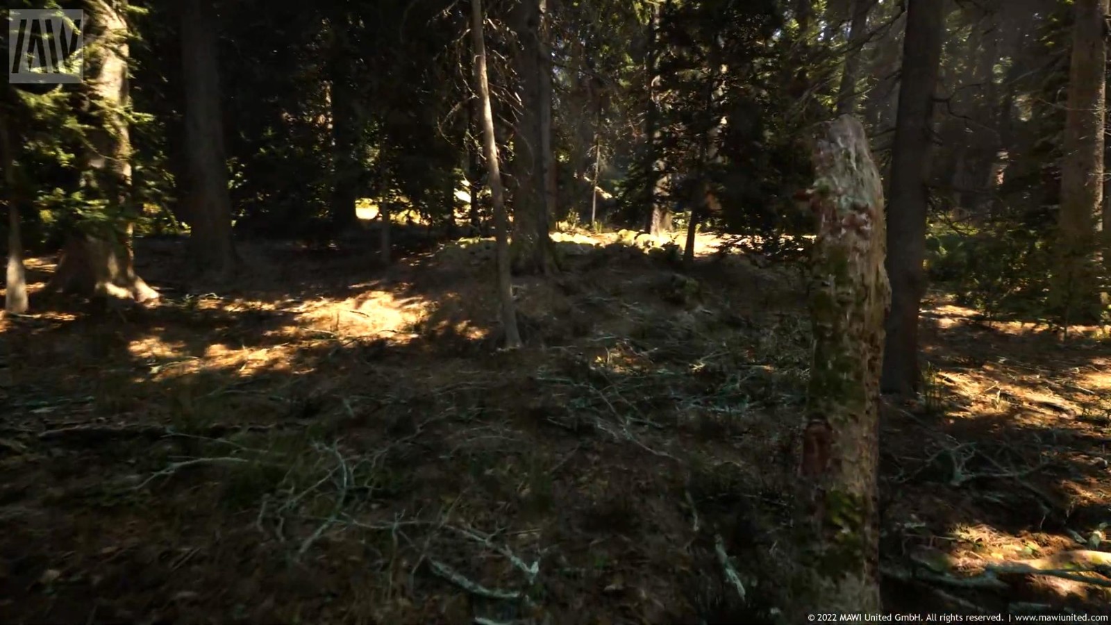 虛幻5引擎「針葉林」技術演示 畫面過於逼真