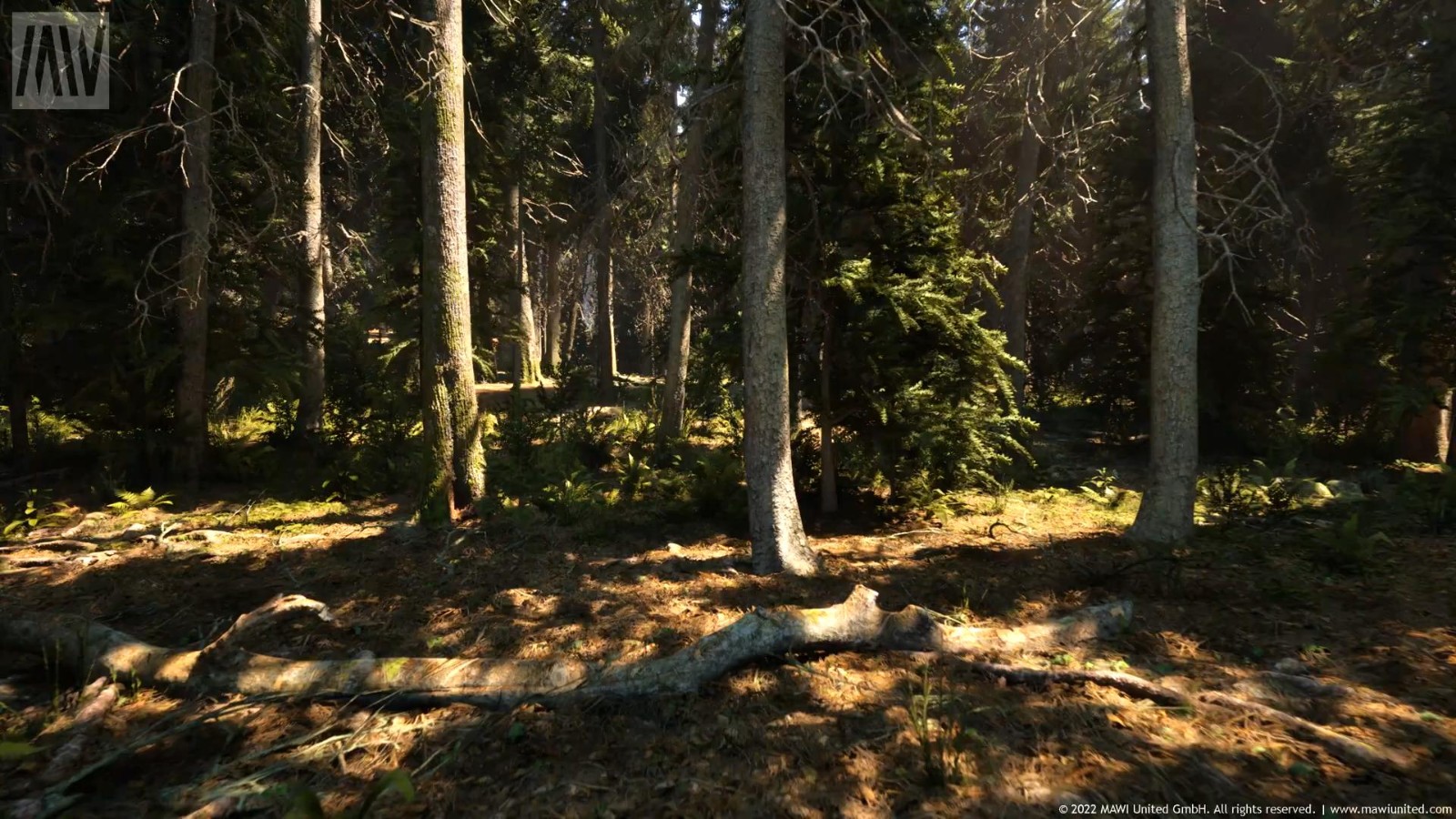 虛幻5引擎「針葉林」技術演示 畫面過於逼真
