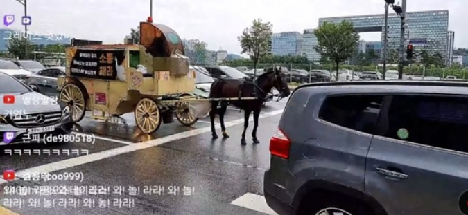 為了抗議《賽馬娘》運營，韓國玩家真的拉來了一匹馬遊街