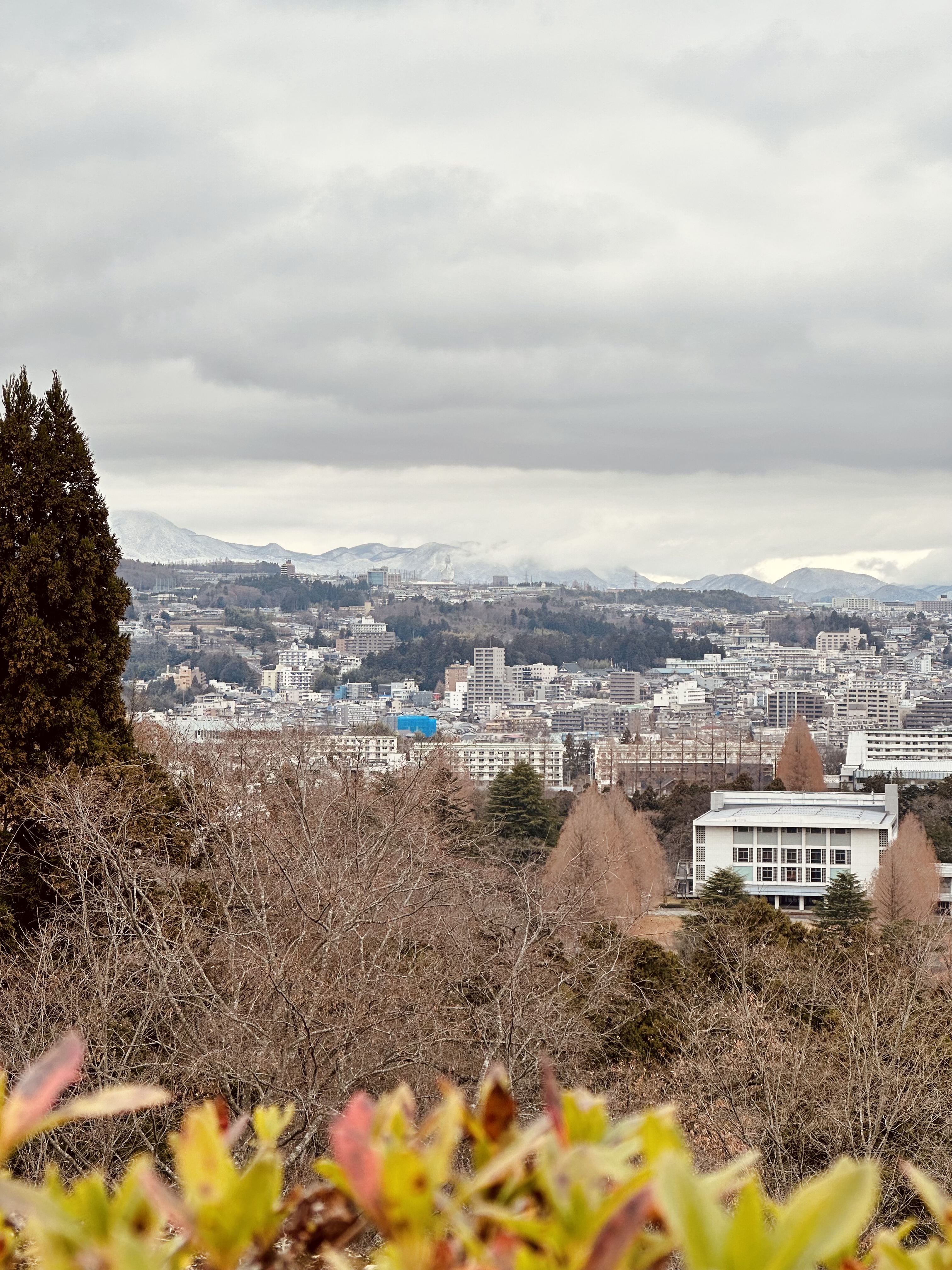 一場冬季日本之旅：北海道&仙台