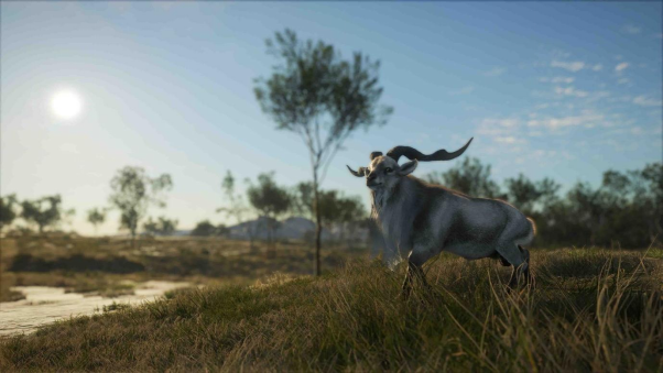 袋鼠在等著你！《獵人荒野的召喚》將推出全新的澳大利亞狩獵地點