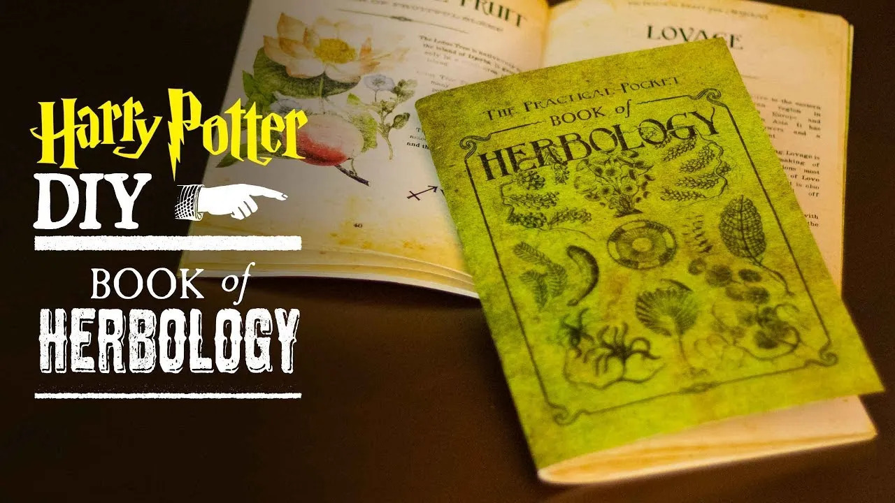 《哈利·波特》系列中的神秘植物考（八：H系列）