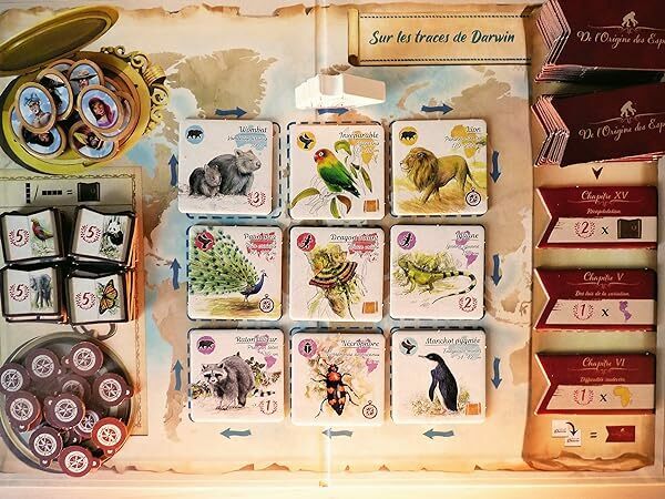 達爾文最近有點忙，玩過這個遊戲如同讀完一本逸聞故事：自然科普桌遊《追隨達爾文小獵犬號之旅》
