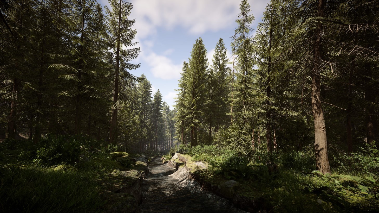 《森林之子》正式版流程視頻 1.0正式版全探索流程解說視頻