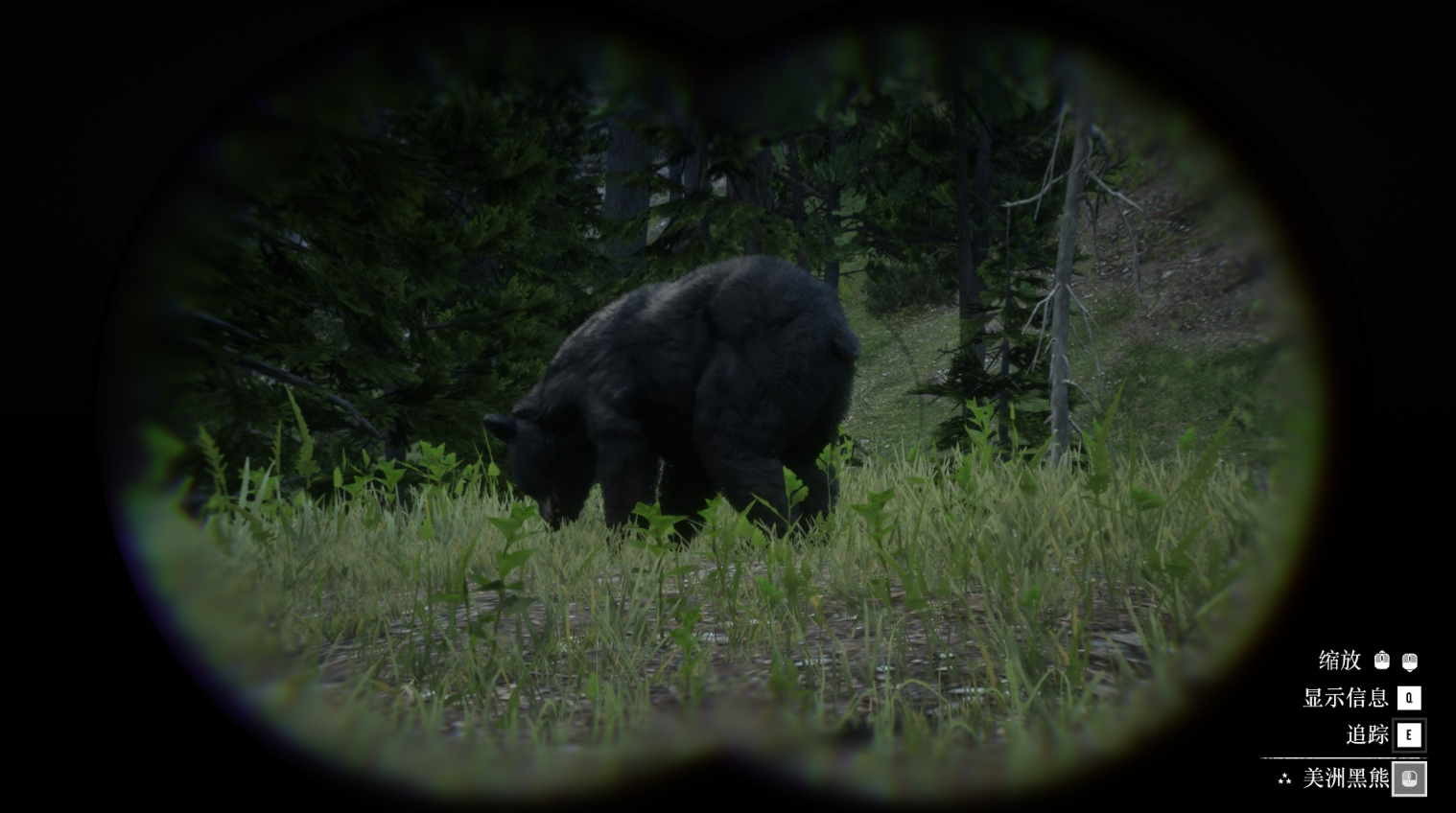 《碧血狂殺2》動物美洲黑熊在哪里找