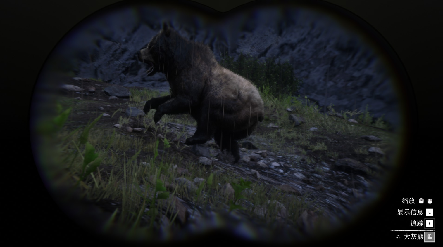 《碧血狂殺2》動物大灰熊在哪里找