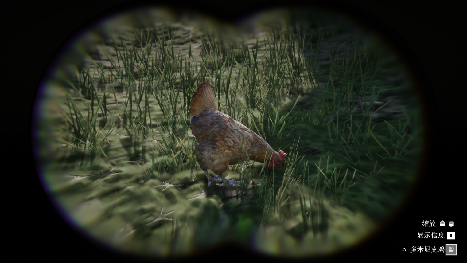 《碧血狂殺2》動物多米尼克雞在哪里找