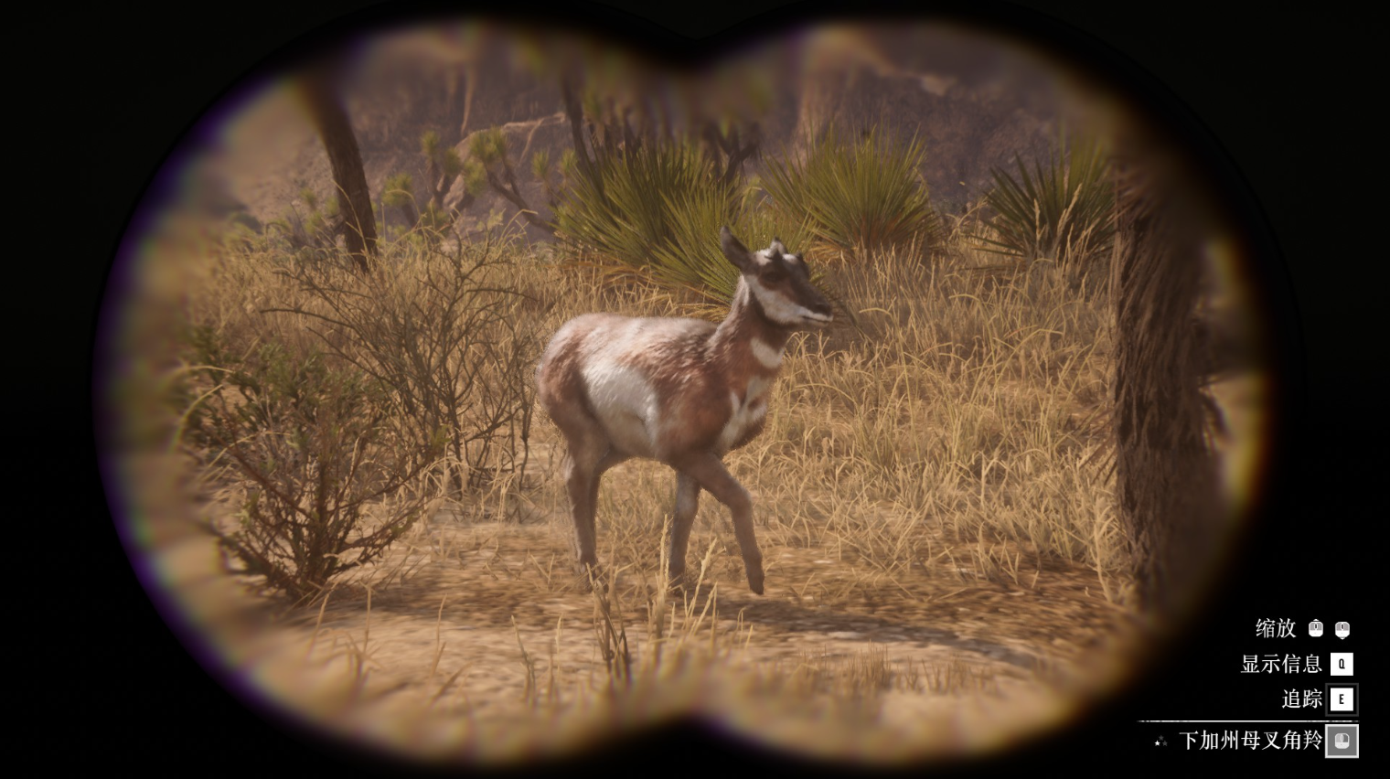 《碧血狂殺2》動物下加州母叉角羚在哪里找