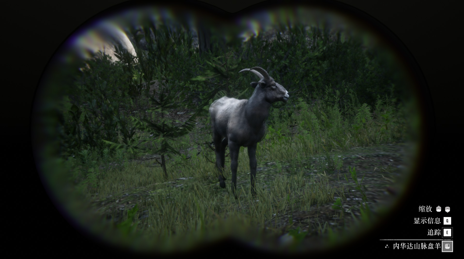 《碧血狂殺2》動物內華達山脈盤羊在哪里找
