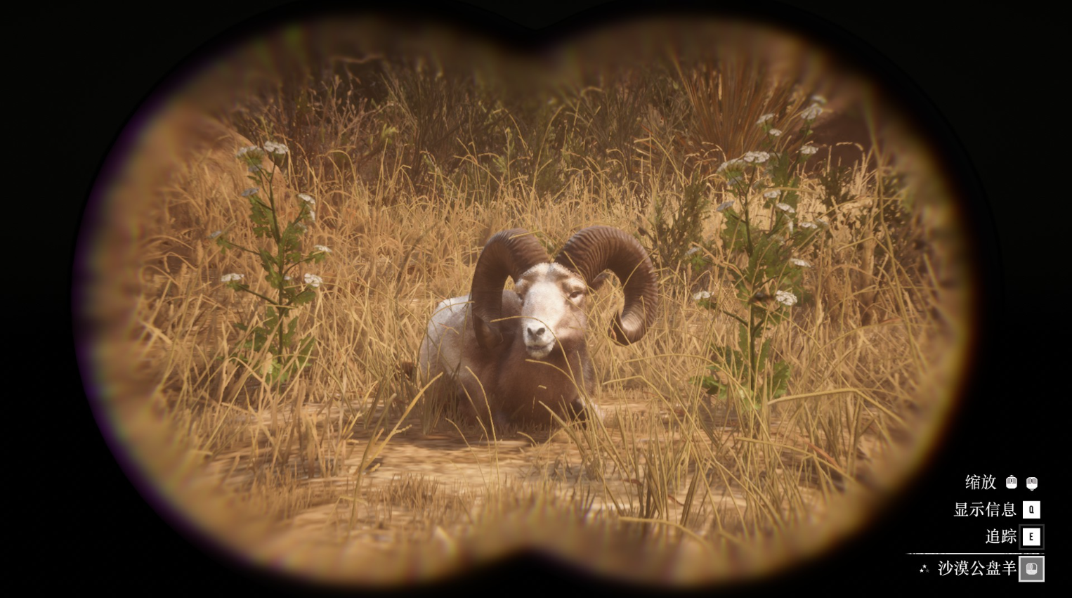 《碧血狂殺2》動物沙漠公盤羊在哪里找