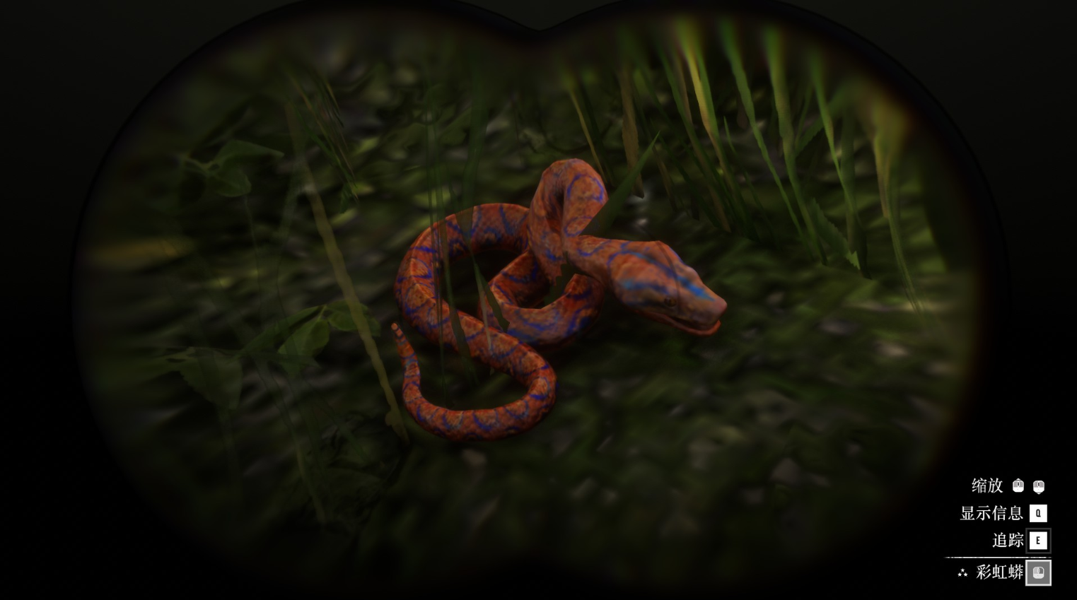 《碧血狂殺2》動物彩虹蟒蛇在哪里找
