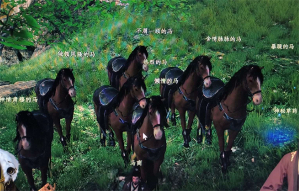 《下一站江湖2》馬匹獲取方法
