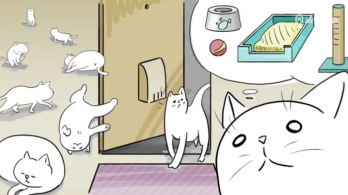 虛擬養貓遊戲《NEKOTO》4 月上架 STEAM