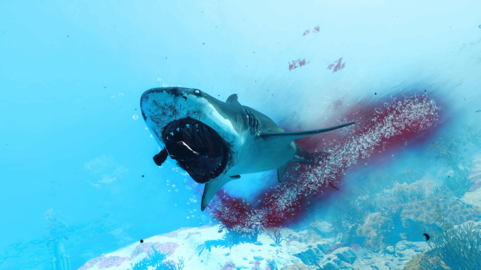 《食人鯊》全球銷量破1400萬份 兇猛大鯊魚的誘惑力