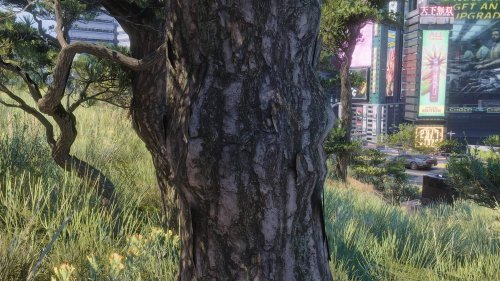 《電馭叛客2077》最新高清紋理MOD：徹底改造所有樹木